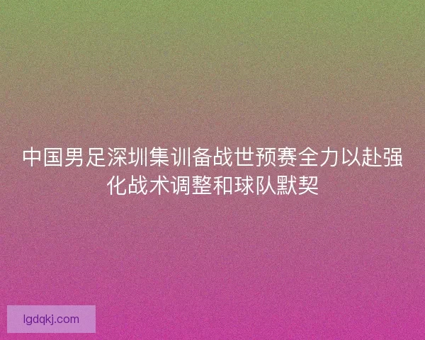 中国男足深圳集训备战世预赛全力以赴强化战术调整和球队默契